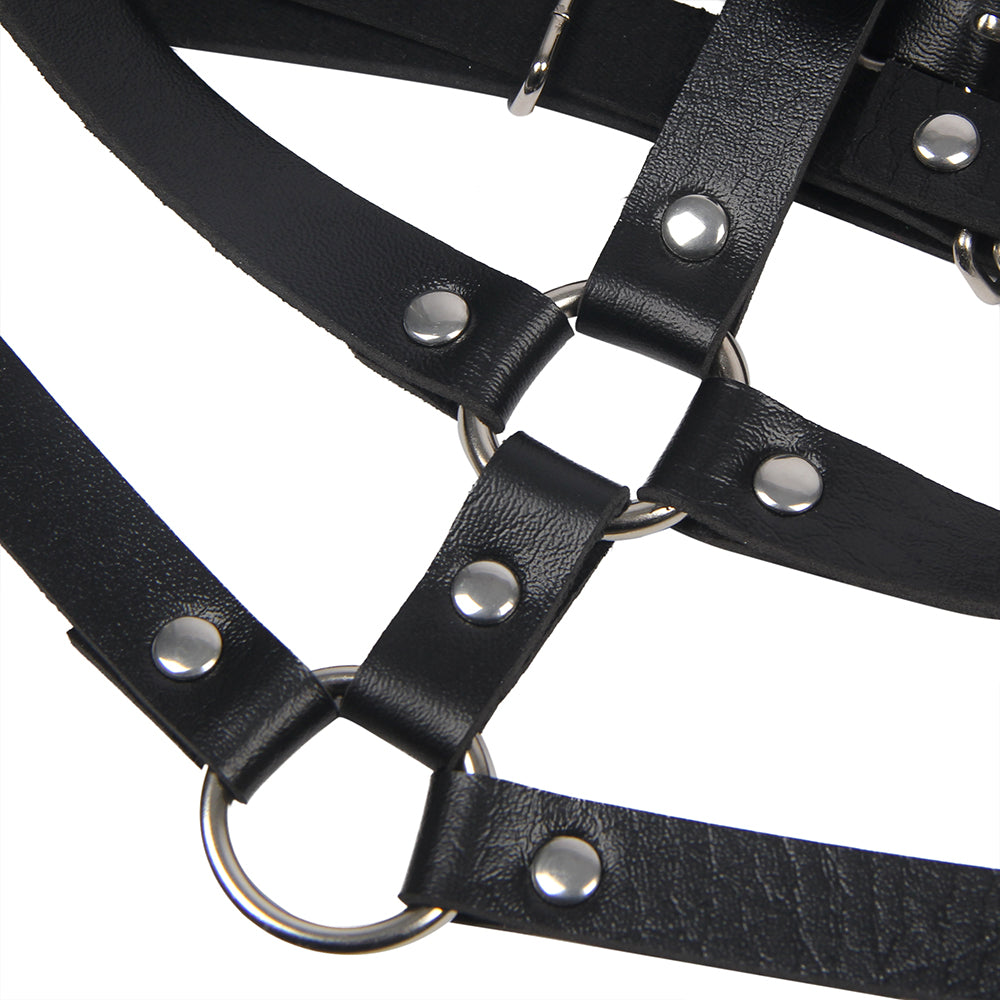 CLARINE | HARNESS